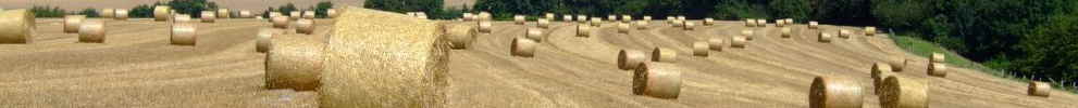 Rundballen