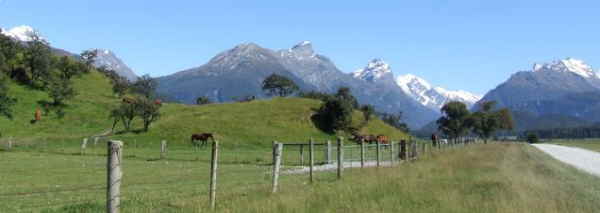 NewZealand 2238